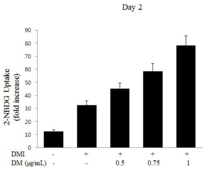 PGG에 처리에 의한 지방세포 내 Glucose uptake