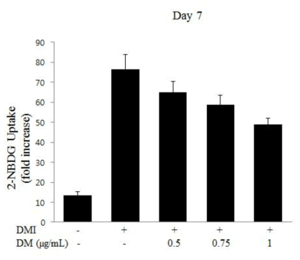 PGG 처리에 의한 지방세포 내 Glucose uptake