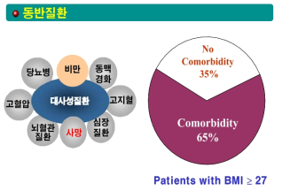 비만에 의한 대사성 질환의 합병증