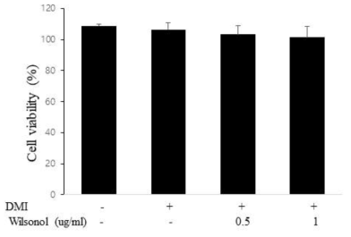 Wilsonol처리에 의한 3T3-L1의 세포 생사능 검사
