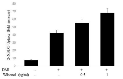 Wilsonol에 처리에 의한 지방세포 내 Glucose uptake