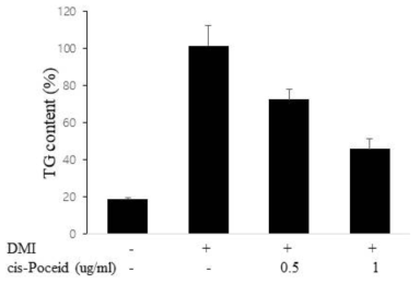 cis-Poceid에 의한 3T3-L1 지방 세포내 Triglyceride의 축척 감소