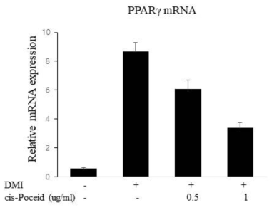 cis-Poceid 처리에 의한 지방세포 특이적 유전자 PPARgama mRNA의 발현 감소