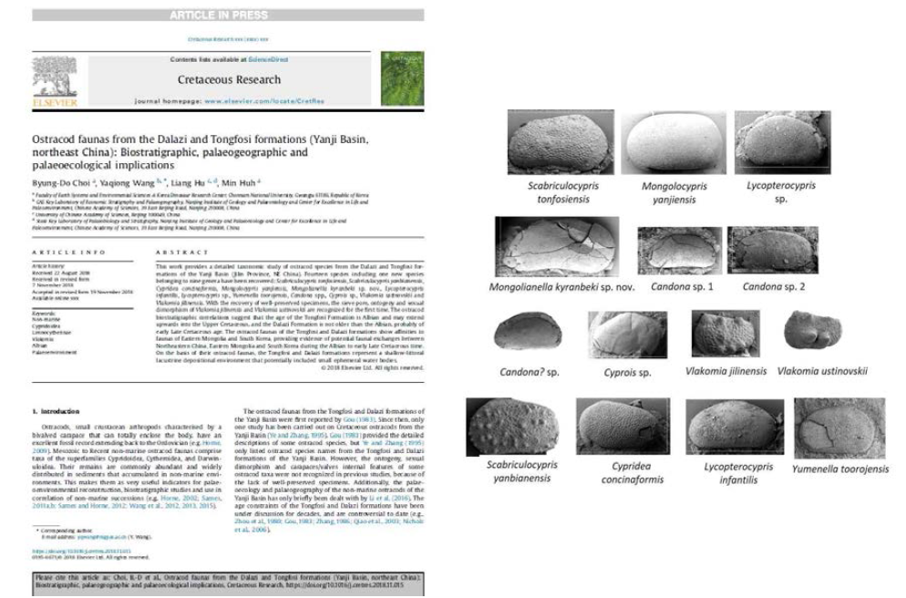 중국 연길분지의 개형충에 관한 논문(좌) 및 산출 개형충(우)