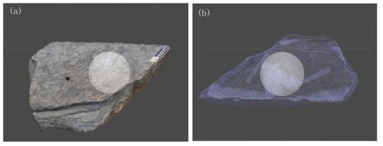 화순 소형 익룡발자국 Photogrammetry 데이터. (a) 3D photogrammetry data; (b) Wireframe photogrammetry data