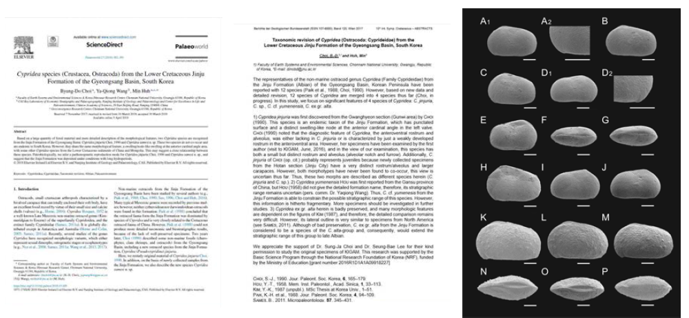 Cypridea 개형충에 관한 연구 논문(좌), 국제 백악기 학회 발표(가운데), 및 논문으로 보고된 일부 개형충 (우)