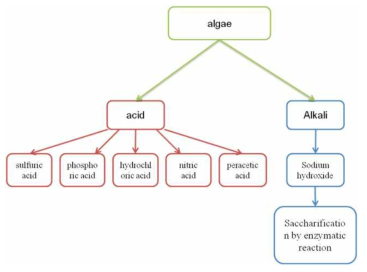 미세조류의 다양한 당 전환 공정 및 산, 알칼리 및 열수 전처리 후 모습