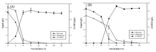 발효 시간에 따른 2,3-부탄다이올 생산 비교 ((A): 케미칼 당, (B): 미세조류 복합당)