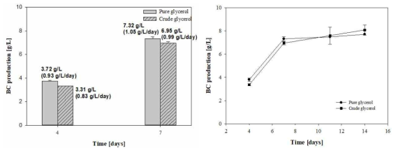 순수 글리세롤과 폐글리세롤로부터 생산된 박테리아셀룰로오스 생산량