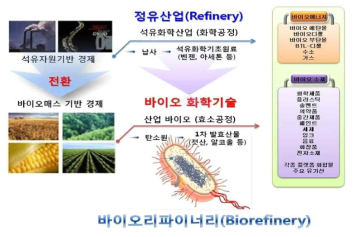 바이오리파이너리(Biorefinery)의 개념도