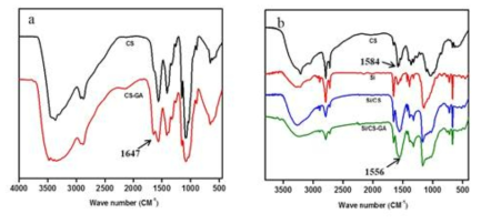 (a) FTIR spectra of CS and CS-GA film; (b) FTIR spectra of CS, Si, Si/CS, and Si/CS-GA powder