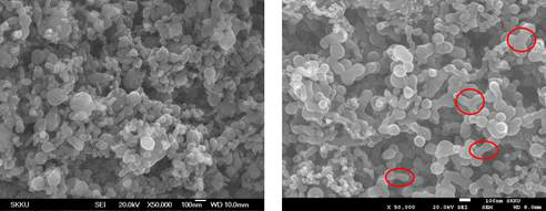Surface morphology of Si nanoparticles (a) and Si/CS-GA film (b)