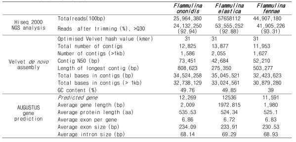 Statistics of genome sequencing of Flammulina ononidis, Flammulina elastica, and Flammulina fennae