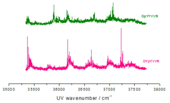 UV PD spectra of phosphorylated DYYVVR at higher energy region