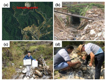 낙동광산 비소 오염수 채취 사진 : (a) 비소오염수 채취 지점; (b) 낙동광산 갱구; (c), (d) 낙동광산 갱구 인근 지표수 채취