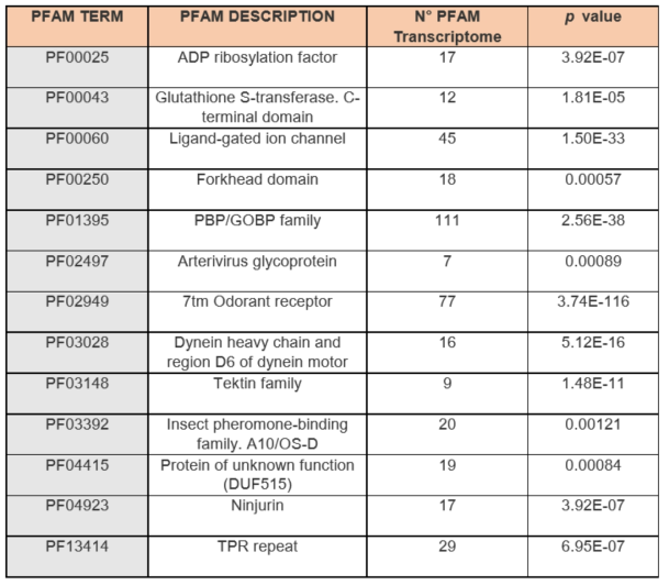 안테나에서 과발현 하는 transcripts들의 PFAM enrichment 분석