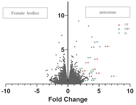 암컷 모기의 몸 부위와 안테나 부위에서 특이적으로 발현이 높은 유전자를 표시한 Volcano plot