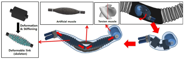 공압 기반의 변형이 가능한 로봇팔 (매니풀레이터) 개발 (변형가능한 링크(인공골격) 및 근육형 공압 액츄에이터로 구성 되어있으며, 고난이도 작업 수행시 변형 시작함)