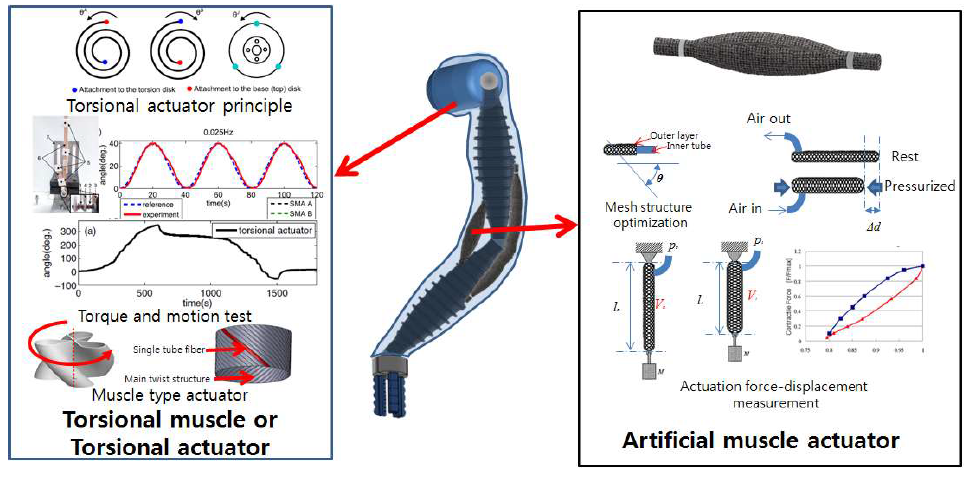 로봇 팔에 근육형 공압 액츄에이터 및 Torsion 액츄에이터 설계 및 최적화