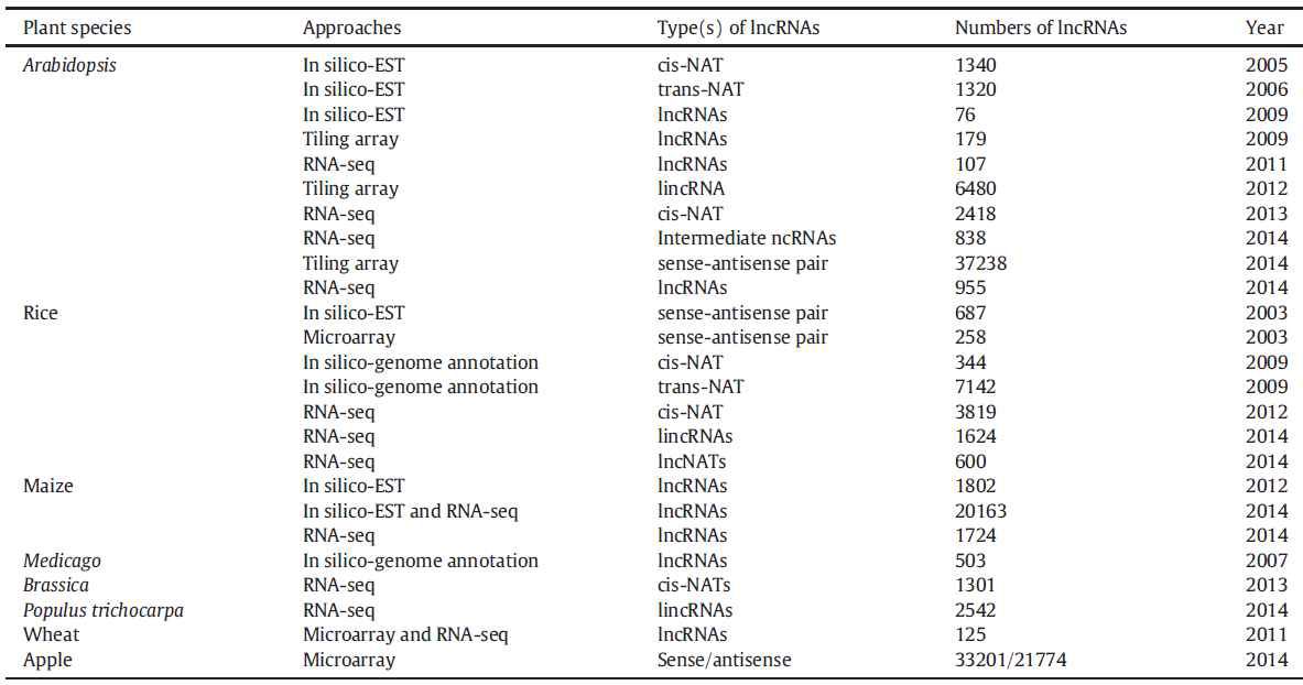 식물에서 보고된 lncRNA 발굴 연구 요약