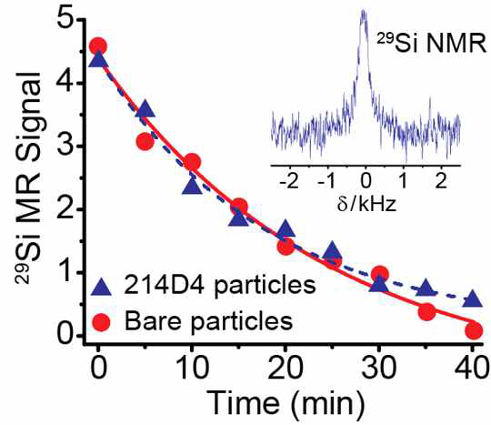 기존 실리콘 나노입자와 항체 표면기능화-실리콘 나노입자의 29Si DNP 신호 증폭 실험 결과