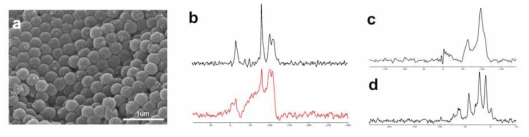 표면기능화 이후의 실리콘 나노입자 (a) SEM 이미지 TEM 이미지, (b) 표면 기능화 전후 의 29Si solid-state NMR 분석 결과, (c) 표면기능화 전 (d) 후의 13C solid-state NMR 분석 결과