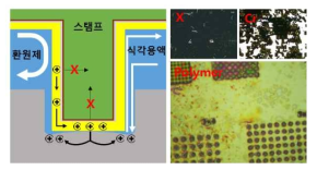 (좌) 촉매금속 스탬프의 전기/화학적 보호층 역할 모식도 (우) 보호층 물질에 따른 스탬프 내구도 차이