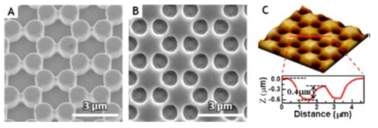 (A) 다층구조의 촉매금속 스탬프 (B) 화학적 임프린트된 반도체 기판 (C) 임프린트 된 반도체의 AFM 이미지