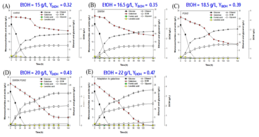 Gracilaria Verrucosa의 가수분해물을 이용한 바이오에탄올 발효 (A) S. cerevisiae CEN PK 2-1 (B) SNR84의 발현양을 높인 S. Cerevisiae CEN PK 2-1 (C) PGM2의 발현양을 높인 S. cerevisiae CEN PK 2-1 (D) SNR84와 PGM2의 발현양을 높인 S. cerevisiae CEN PK 2-1 (E)고농도의 갈락토스에 순치한 S. Cerevisiae CEN PK 2-1