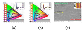 서로 다른 녹색 후보 면적을 가지는 패터닝된 QDEG들의 ((a) G50, (b) G75) 두께 제어에 따른 색재현성 평가 결과 및 이의 EL+PL 스펙트럼, (c) 제조된 패터닝된 QDEG (500 ℃ 8시간 열처리)의 적색과 녹색 후보 계면의 SEM 이미지