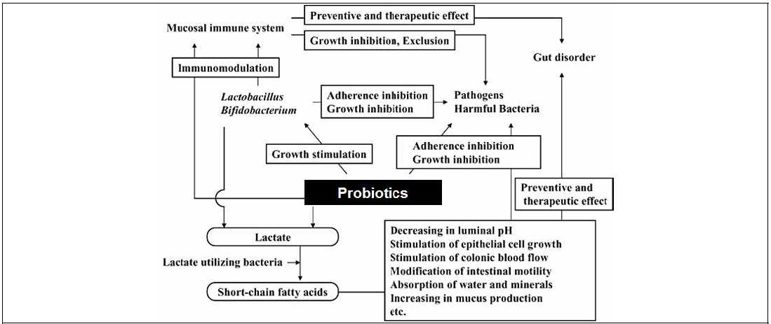 프로바이오틱스가 숙주의 장내 건강에 미치는 영향 (Ohashi & Ushisa. 2009. Anim Sci J)