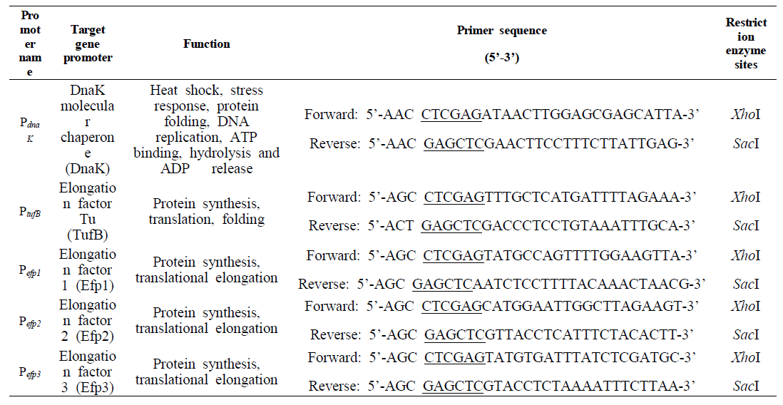 The promoters, primer sequences and restriction endonuclease sites used for PCR amplification and DNA cloning