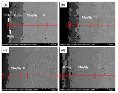 1100℃ 48 h Si/B 코팅한 합금의 1400℃ 산화 후 단면 SEM BSE 이미지: (a) 1400℃ 40 h, (b) 1400℃ 60 h, (c) 1400℃ 100 h (d) 1400℃ 200 h