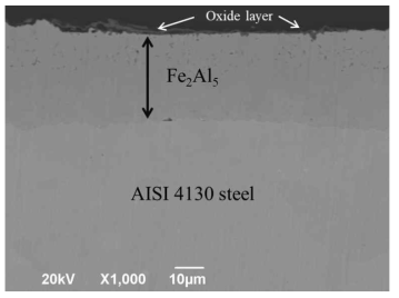 500℃ 24 h Si 코팅한 후 pre-oxidized된 합금의 단면 SEM BSE 이미지