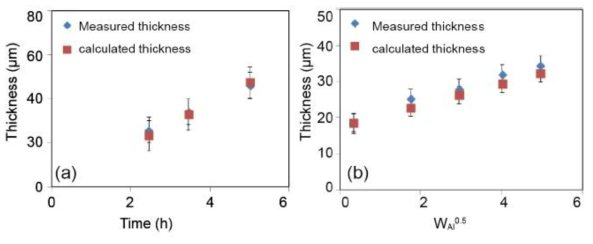 (a) 550 ℃, (b) 550 ℃ or 12 h에서 열처리된 Al 코팅된 Haynes 230 합금의 코팅처리 시간에 따른 측정된 코팅층 두께와 이론식에 의해 계산된 두께 비교
