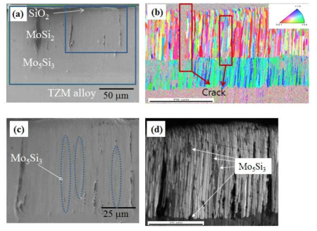 MoSi2 코팅된 TZM합금의 1300 ℃에서 20시간 산화된 시험편 (a) SEM, (b) EBSD (c)확대 그림 (d) 흑백그림