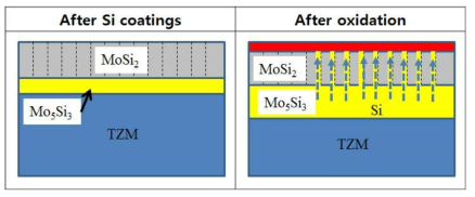 MoSi2 코팅된 TZM합금의 산화시에 나타나는 코팅층의 소멸기구. (본 기구를 통하여 MoSi2의 코팅층은 산화시에 결정립계의 산화가 일어남을 알 수 있다)