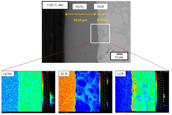 1100℃ 48 h 동안 Si 코팅된 Mo-3Si-1B 합금의 EPMA 분석결과