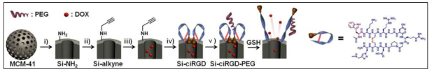 항암치료 효율 극대화를 위한 iRGD 펩타이드가 도입된 mesoporous 나노전달체의 모식도