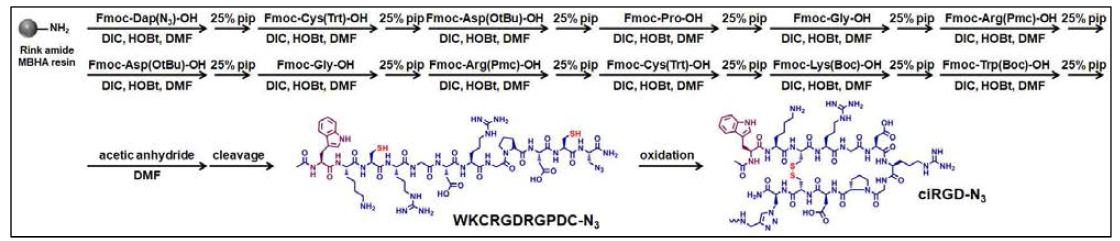 항암치료 효율 극대화를 위한 다기능성 iRGD 펩타이드의 합성 경로