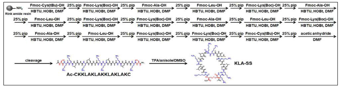 암세포의 특이적 환원제에 감응하는 지능형 펩타이드의 합성 경로