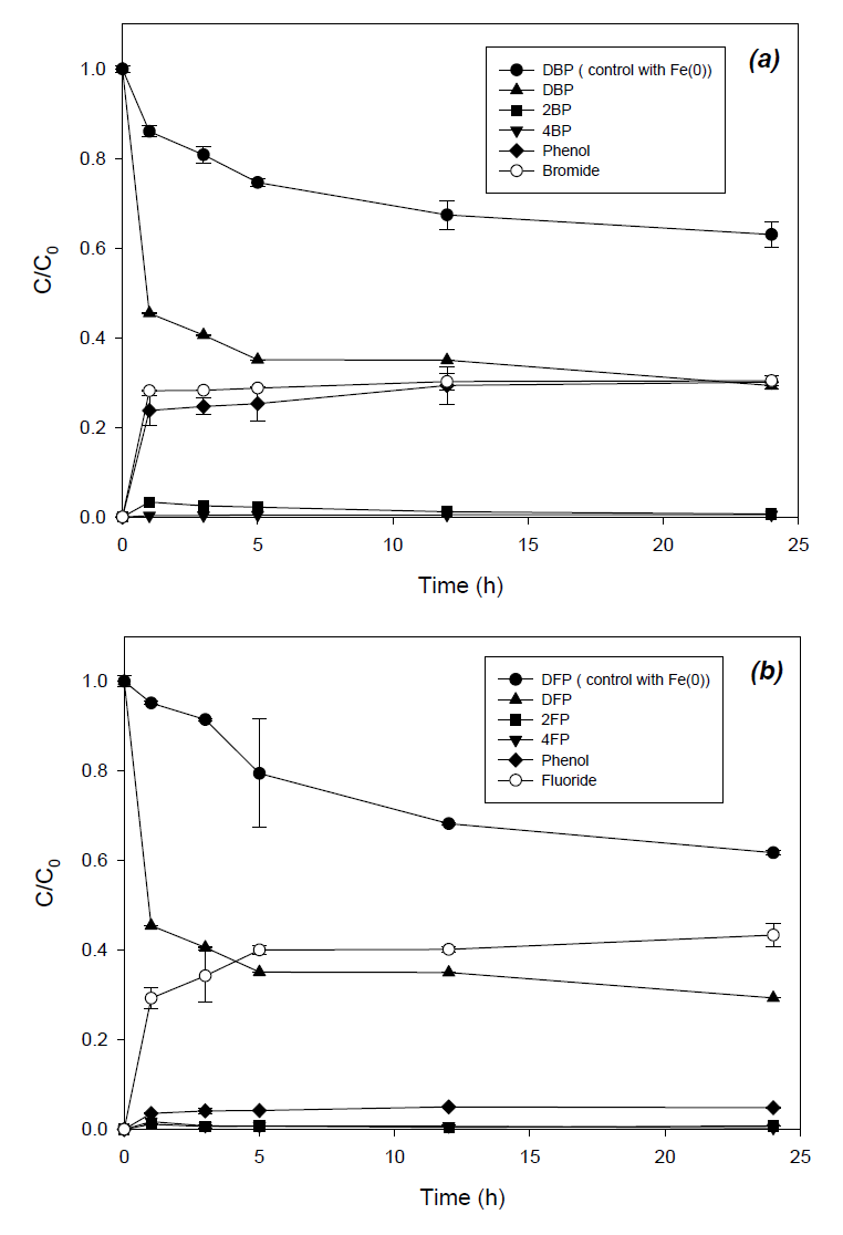 Reductive removal of DBP and DFP by Fe-included biochar