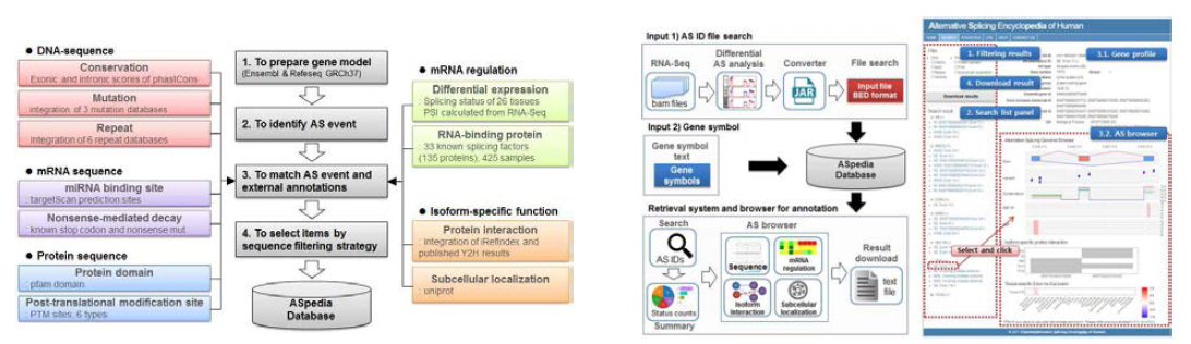 ASE의 기능적 중요성을 지니는 염기서열 분석을 통한 데이터베이스 구축 (좌) 본 연구의 어플리케이션 검색 및 브라우저 기능 지원 (우)