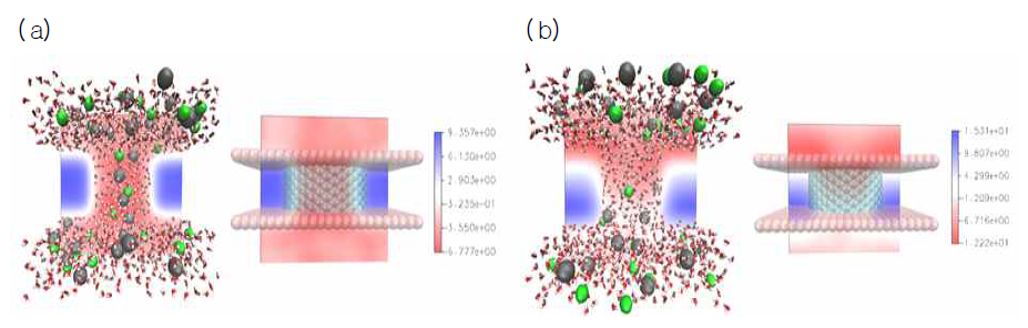 ( a) 전압이 0V인 경우, 탄소나노튜브 채널을 통한 양이온과 음이온의 양방향성 이동이 관측되나, ( b) 전압이 1V 인 경우에는 전압에 따라, 양이온 음이온 모두 단일 방향성 이동만 관측됨