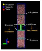 그라핀 플레이트들과 탄소나노튜브를 가지고 생체막상의 이온 채널 및 막외부 공간(extracellular space)과 막내부 공간(intracellular space)을 모델링 한 그림