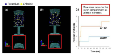 크기가 7*7 nm2인 그라핀 플레이트를 가지고 구성한 이온 채널 시스템. 그림 (a), (b)는 각각 전압이 (a) 0.05V 와 (b) 0.15 V 걸려있을 때, 이온이 위쪽 공간에서 아래쪽 공간으로 이동하고 있는 상황이며, 그림 (c)는 이를 시간에 따라 채널을 통해 이동한 이온의 개수로 나타난 그래프임