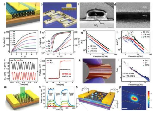 Electronic and optoelectronic devices from 2D-TMDs. (a) A schematic of a monolayer MoS2 transistor. (b) A schematic of a dual-channel self-aligned MoS2 transistor with transferred gate stacks, and the inset shows the schematic cross-section of the self-aligned gate stack. (c) The cross-sectional TEM image of a typical self-aligned device. The scale bar is 50 nm. (d) The HRTEM image of the interface between MoS2 and the transferred gate stack. The scale bar is 3 nm. (e) The Ids–Vds output characteristics for self-aligned MoS2 transistor. (f) The Ids–VTG transfer characteristics for MoS2 transistor. (g) Small-signal current gain |h21| versus frequency for three devices. (h) Maximum available gain (MAG) versus frequency of the self-aligned MoS2 transistors with different channel lengths. (i) The input and output signals of an MoS2 RF amplifier. (j) Propagation delay of a few-layer MoS2 amplifier shows an input signal (black) rise time of 210 ps and an output signal (red) rise time of 580 ps. (k) A photograph of MoS2 circuits on flexible substrates. (l) Small-signal current gain, Mason’s unilateral power gain (U), and maximum available gain (MAG) versus frequency for MoS2 transistor on a flexible substrate. (m) A schematic of MoS2 photodetector. (n) Timeresolved photoresponse. (o) A schematic of a WSe2 p–n diode. (p) The scanning photocurrent map of a WSe2 p–n diode