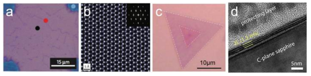 CVD-based grown atomic-layered TMDs. a and b. Optical and HR-TEM image of CVD-grown MoS2 pattern on SiO2. c. Optical image of WS2/MoS2 heterojunction synthesized by CVD. d. Cross-sectional TEM image of double-layered MoS2 synthesized by CVD