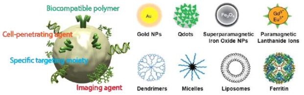 다양한 형태의 치료-진단용 표적지향형 나노입자
