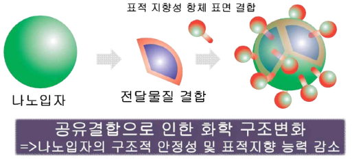 공유결합 기반 암세포 표적지향 나노입자개발이 가지고 있는 근본적인 문제점